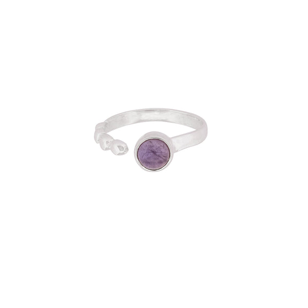 ANILLO HABITAR