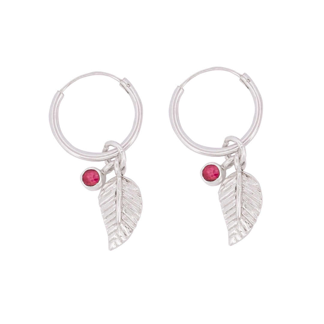 ARGOLLAS TIERRA